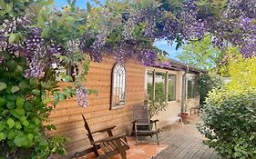 - Le Patio - Calme, Chaleureux, Unique